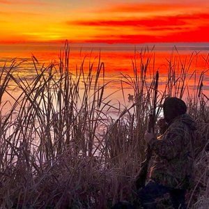 Meet your Posher, Erich